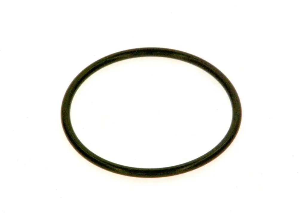 Schwarzer O-Ring von Bosch, kreisförmig und flexibel, auf hellem Hintergrund dargestellt.